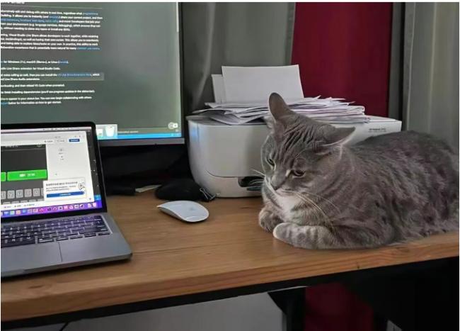 北美码农梦断?60后到00后,我家两代4位程序员 北美码农梦断?60后到00后,我家两代4位程序员