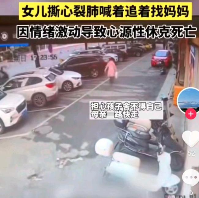 母亲躲藏致女童情绪崩溃 当街死亡 内情令人唏嘘 母亲躲藏致女童情绪崩溃 当街死亡 内情令人唏嘘