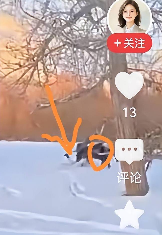 网红官员贺娇龙去世 坠马影像完整曝出 过程残忍 网红官员贺娇龙去世 坠马影像完整曝出 过程残忍