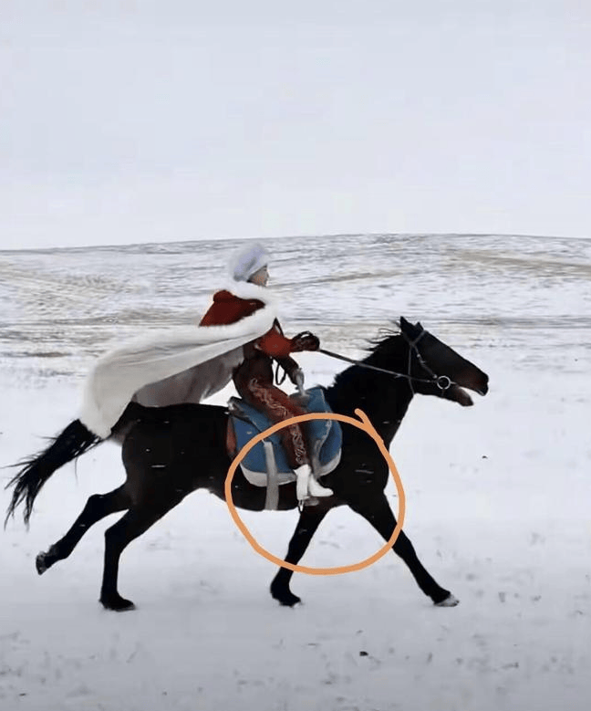 网红官员贺娇龙去世 坠马影像完整曝出 过程残忍 网红官员贺娇龙去世 坠马影像完整曝出 过程残忍