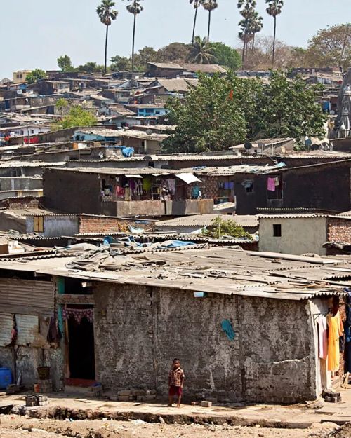 印度究竟有多脏?首都垃圾山20层楼高 印度究竟有多脏?首都垃圾山20层楼高