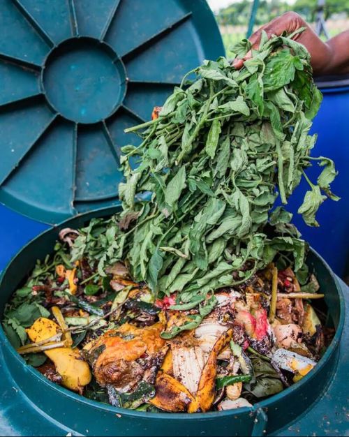 印度究竟有多脏?首都垃圾山20层楼高 印度究竟有多脏?首都垃圾山20层楼高