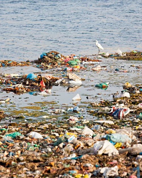 印度究竟有多脏?首都垃圾山20层楼高 印度究竟有多脏?首都垃圾山20层楼高