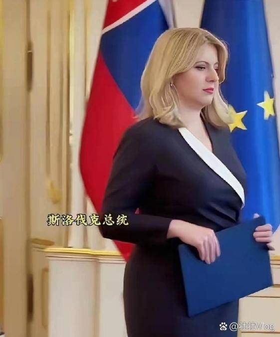 她应该是世界上最美的女总统了 她应该是世界上最美的女总统了