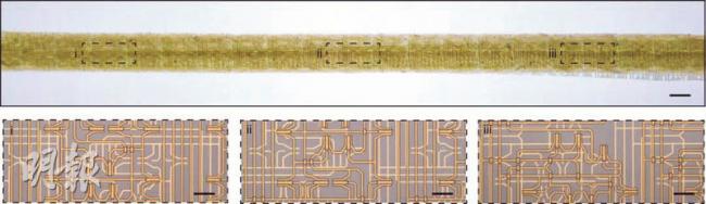 如“第二皮肤” 复旦大学纤维芯片问世 如“第二皮肤” 复旦大学纤维芯片问世