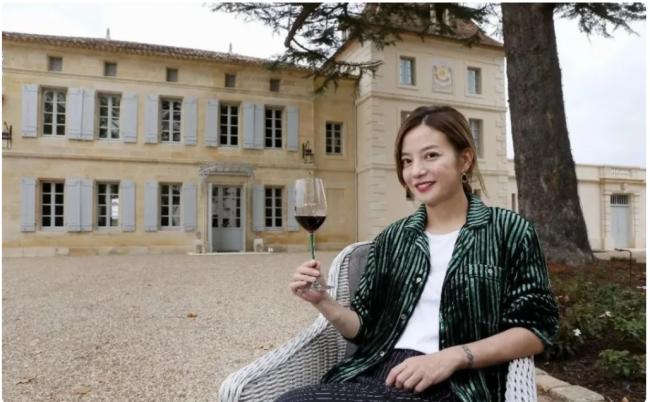 李湘,赵薇,黄有龙,一条跨境电诈黑金链的瓦解 李湘,赵薇,黄有龙,一条跨境电诈黑金链的瓦解