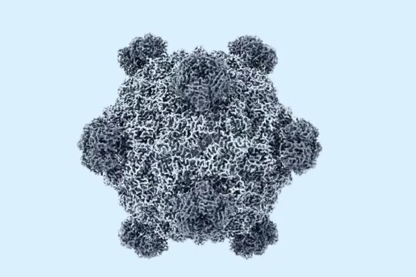 里程碑!科学家用AI首度做出“新病毒” 里程碑!科学家用AI首度做出“新病毒”