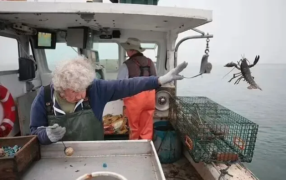 她凌晨起床抓龙虾 从8岁干到103岁!一生硬核... 她凌晨起床抓龙虾 从8岁干到103岁!一生硬核...