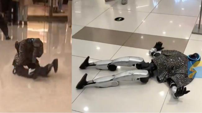 陆机器人撞到长辈 下一秒逗笑大家 陆机器人撞到长辈 下一秒逗笑大家