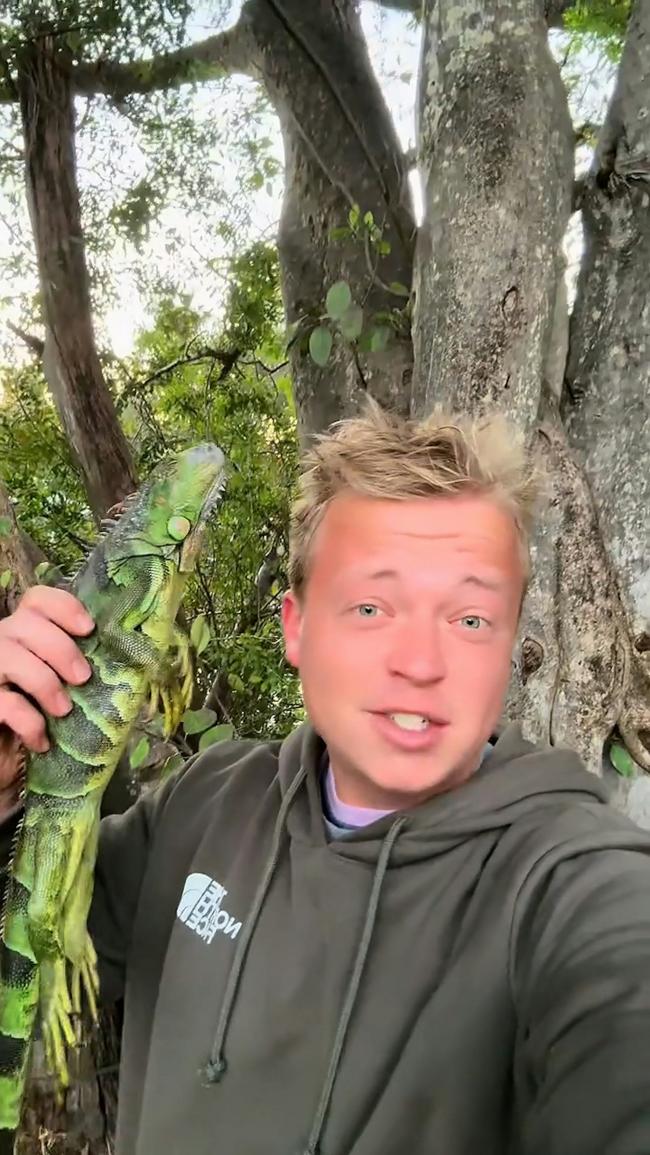 网民震惊:网红捡来假死蜥蜴 做Taco食用 网民震惊:网红捡来假死蜥蜴 做Taco食用