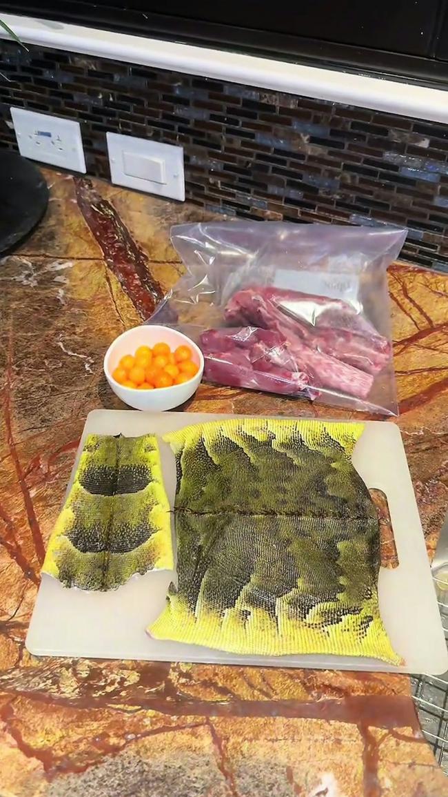 网民震惊:网红捡来假死蜥蜴 做Taco食用 网民震惊:网红捡来假死蜥蜴 做Taco食用