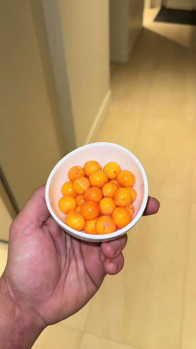 网民震惊:网红捡来假死蜥蜴 做Taco食用 网民震惊:网红捡来假死蜥蜴 做Taco食用