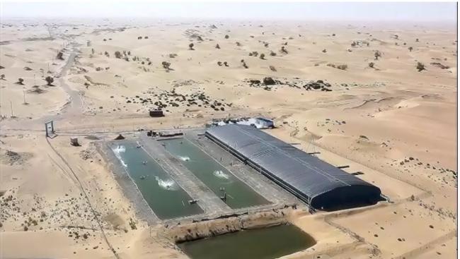 不敢吃了,为什么说三文鱼是 不敢吃了,为什么说三文鱼是