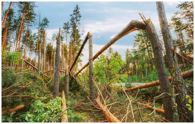 90年代中国发生的4大未解之谜 今天仍是谜团 90年代中国发生的4大未解之谜 今天仍是谜团