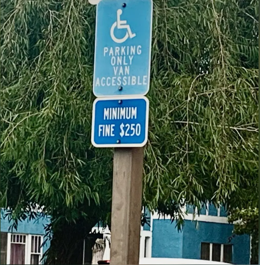 因为一个举动 多位中国留学生面临遣返 因为一个举动 多位中国留学生面临遣返