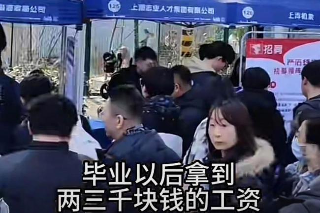 就业难 上海应届毕业生起薪低到.... 就业难 上海应届毕业生起薪低到....