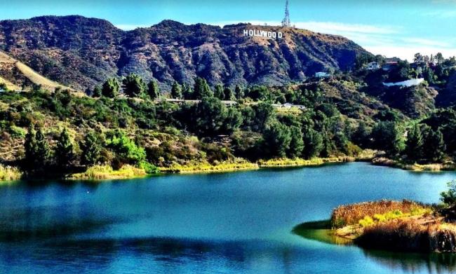 中国影片生成模型Seedance爆红 好莱坞愤怒指控 中国影片生成模型Seedance爆红 好莱坞愤怒指控