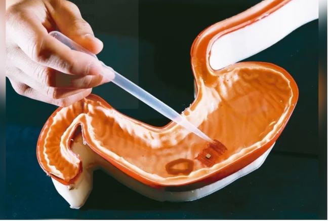 世界之最: 美2大学开发出盐粒机器人 功能强大 世界之最: 美2大学开发出盐粒机器人 功能强大