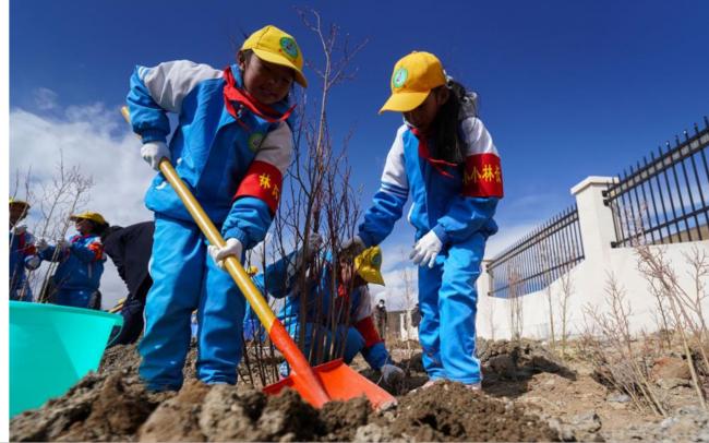 中国首度“数清”全国树木 创下新纪录 中国首度“数清”全国树木 创下新纪录