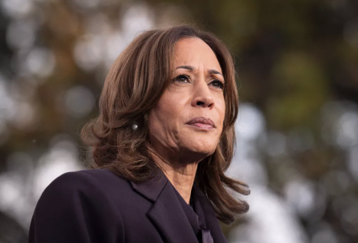 是否再战2028?贺锦丽这样说 是否再战2028?贺锦丽这样说