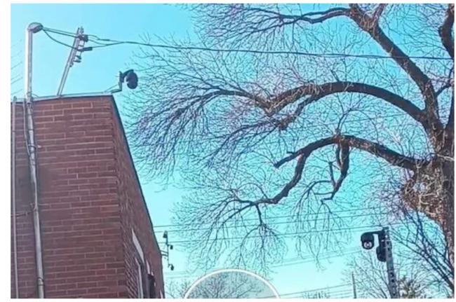 受前租客委托监视华人房产,法官:我信你个鬼 受前租客委托监视华人房产,法官:我信你个鬼