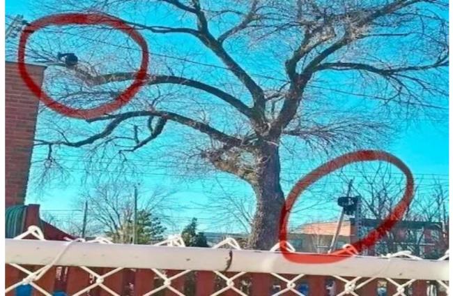 受前租客委托监视华人房产,法官:我信你个鬼 受前租客委托监视华人房产,法官:我信你个鬼