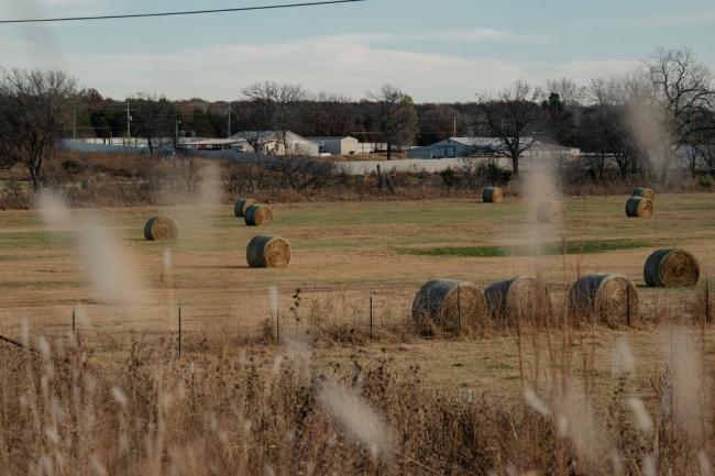 纽约华人同乡会成员被控贩运大麻 还是北京打手 纽约华人同乡会成员被控贩运大麻 还是北京打手