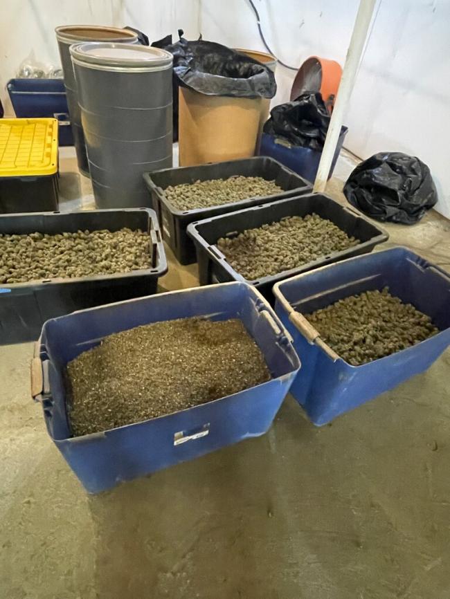 纽约华人同乡会成员被控贩运大麻 还是北京打手 纽约华人同乡会成员被控贩运大麻 还是北京打手