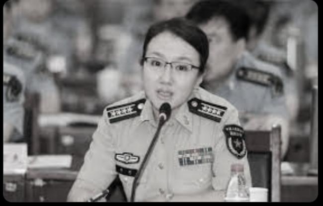 美国生产B2轰炸机,中共盛产2B专家 美国生产B2轰炸机,中共盛产2B专家