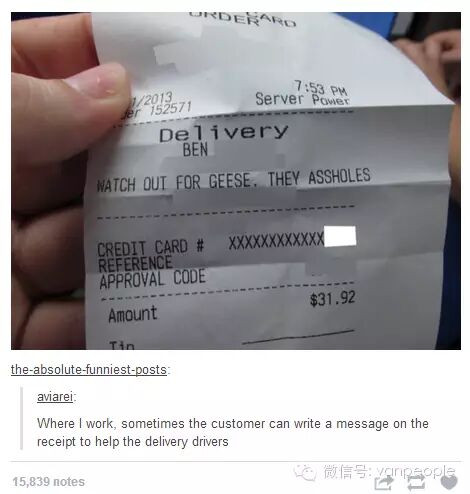 奇葩中的战斗鹅 加拿大鹅最凶残的时候到了 奇葩中的战斗鹅 加拿大鹅最凶残的时候到了