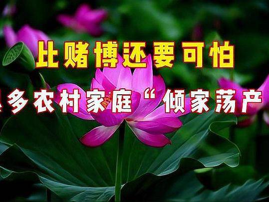 比赌博还可怕的东西,正悄悄毁掉中国无数家庭 比赌博还可怕的东西,正悄悄毁掉中国无数家庭