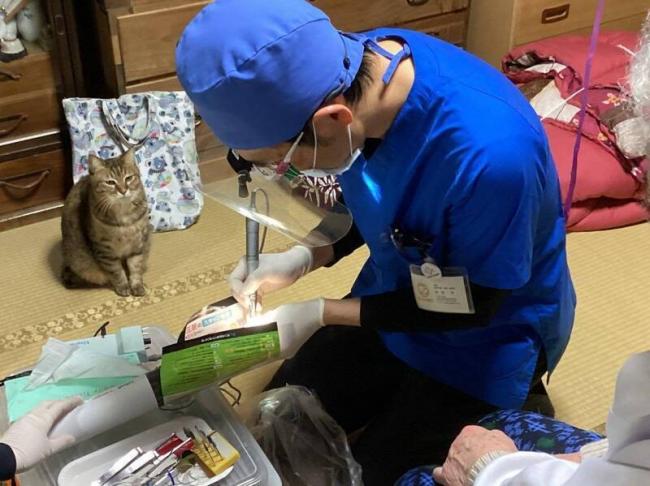 看诊被“猫家属”全程盯着 照片吸250万次浏览 看诊被“猫家属”全程盯着 照片吸250万次浏览