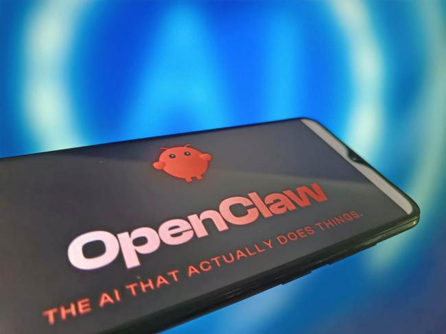 最高2000万元!中国多地补贴“养龙虾” 最高2000万元!中国多地补贴“养龙虾”