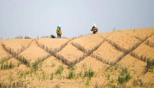 “反人类操作”,中国即将消灭第二个沙漠 “反人类操作”,中国即将消灭第二个沙漠
