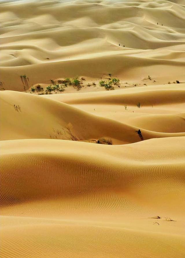 “反人类操作”,中国即将消灭第二个沙漠 “反人类操作”,中国即将消灭第二个沙漠