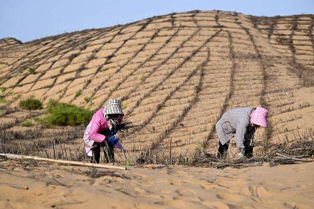 “反人类操作”,中国即将消灭第二个沙漠 “反人类操作”,中国即将消灭第二个沙漠