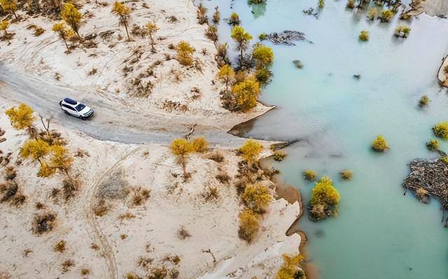 一张生态王牌:中国塔里木盆地下的惊人秘密 一张生态王牌:中国塔里木盆地下的惊人秘密