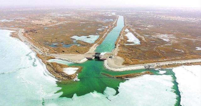 一张生态王牌:中国塔里木盆地下的惊人秘密 一张生态王牌:中国塔里木盆地下的惊人秘密