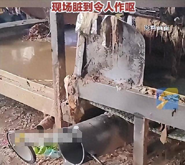 315曝光的这些健康零食,轻则生病重则致癌 315曝光的这些健康零食,轻则生病重则致癌