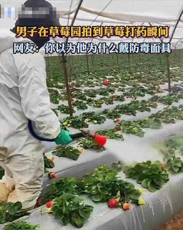 315曝光的这些健康零食,轻则生病重则致癌 315曝光的这些健康零食,轻则生病重则致癌