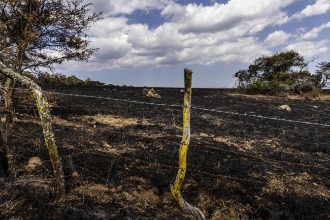 一名美国公民接掌了墨西哥头号贩毒集团 一名美国公民接掌了墨西哥头号贩毒集团