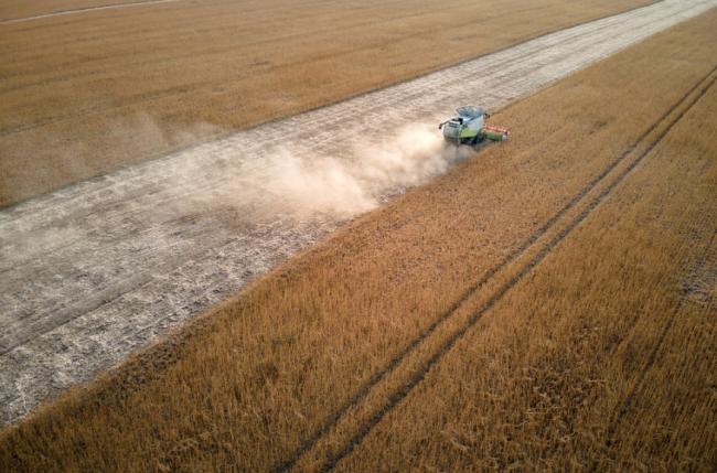 兩件大事助推,“全球糧食大危機”不遠了 兩件大事助推,“全球糧食大危機”不遠了