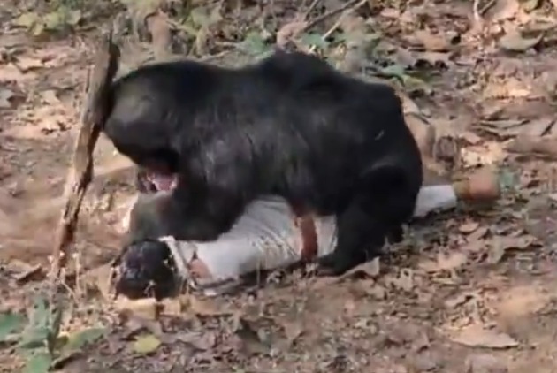 男子被咬死 父抢遗体也遇害 网上疯传 男子被咬死 父抢遗体也遇害 网上疯传