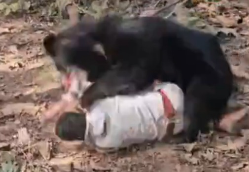 男子被咬死 父抢遗体也遇害 网上疯传 男子被咬死 父抢遗体也遇害 网上疯传