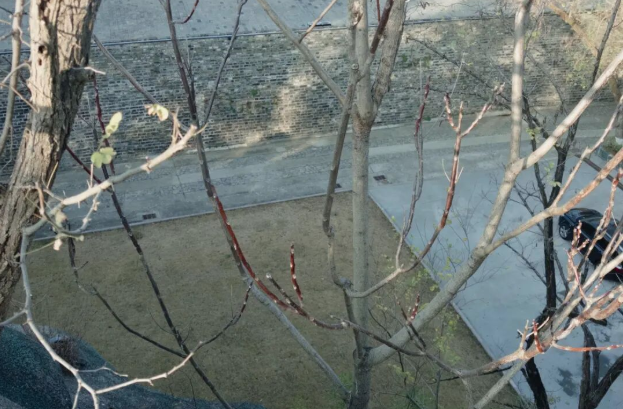 南京寺庙日本战犯牌位事件 她被判刑 方丈被软禁 南京寺庙日本战犯牌位事件 她被判刑 方丈被软禁