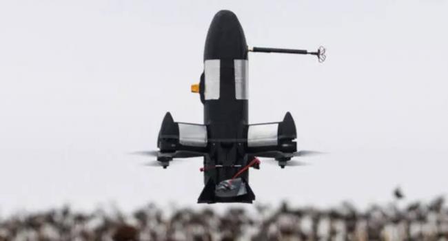 乌克兰的麦田正被变成化学定时炸弹 乌克兰的麦田正被变成化学定时炸弹