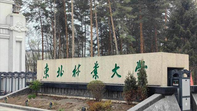 中国面积最大的3所大学 第一名相当于86个清华 中国面积最大的3所大学 第一名相当于86个清华