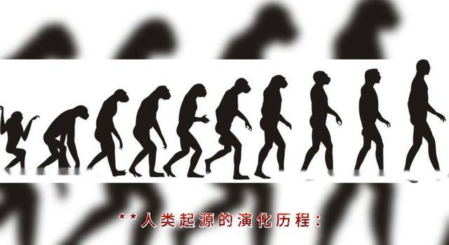 清华教授痛批:现在中国大多数人只是半个人 清华教授痛批:现在中国大多数人只是半个人