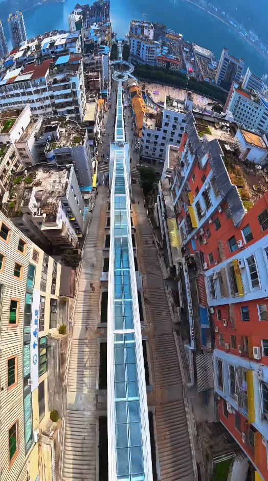 约80层楼高的神女大扶梯,重庆小城变网红 约80层楼高的神女大扶梯,重庆小城变网红