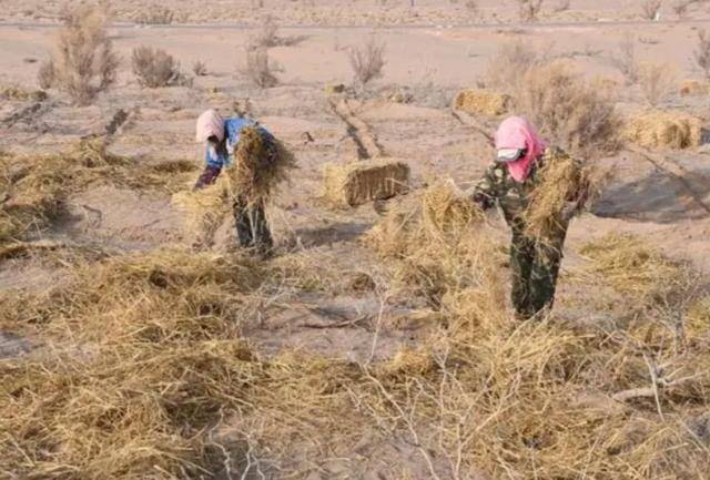 20多年前曾被预言即将消失的中国城市,如今怎样 20多年前曾被预言即将消失的中国城市,如今怎样